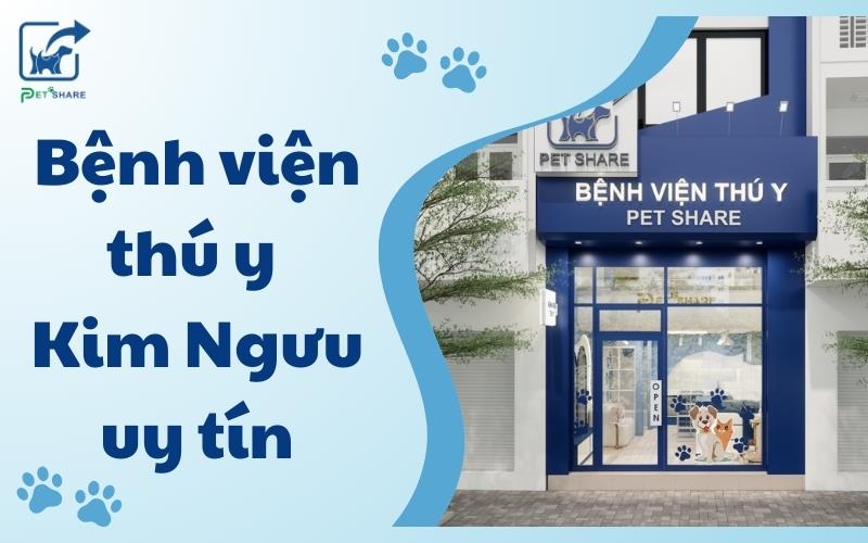 Top 5 Bệnh Viện Thú Y Kim Ngưu Uy Tín Cho Thú Cưng Của Bạn