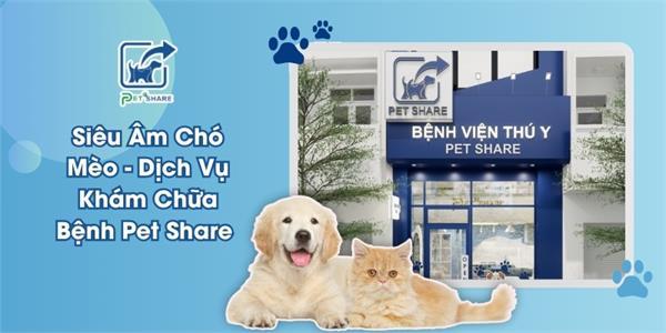 Siêu âm chó mèo - Dịch vụ khám chữa bệnh tại Pet Share